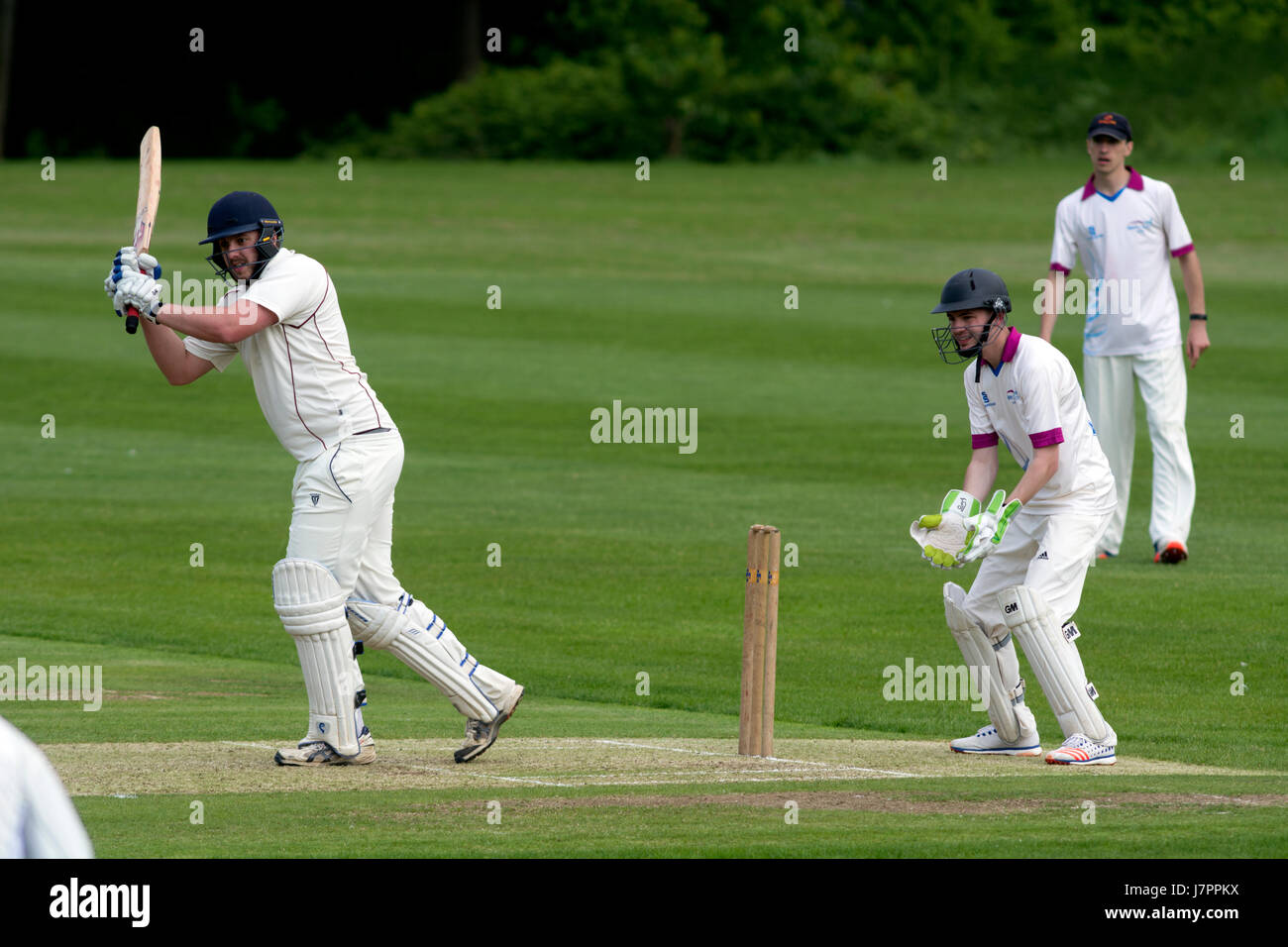 Cricket players wearing whites hires stock photography and images Alamy